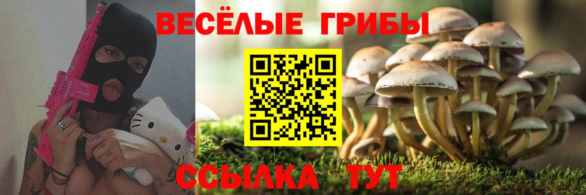 Нерюнгри  Галлюциногенные грибы MAGIC MUSHROOMS  Вход с VPN  Псилоцибиновые грибы Magic Shrooms 