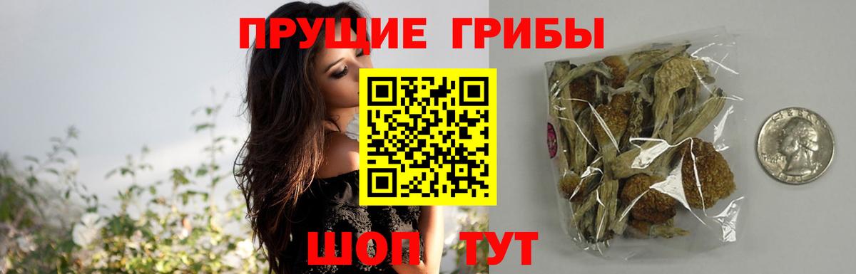 Галлюциногенные грибы Psilocybine cubensis Нерюнгри